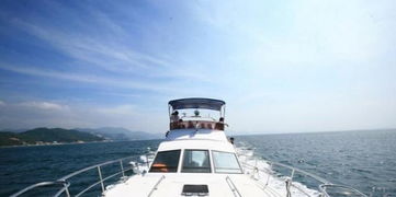 广州哪里有游艇出租 广州游艇租赁览表